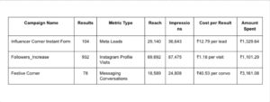 Spaceloom Meta Ads Result